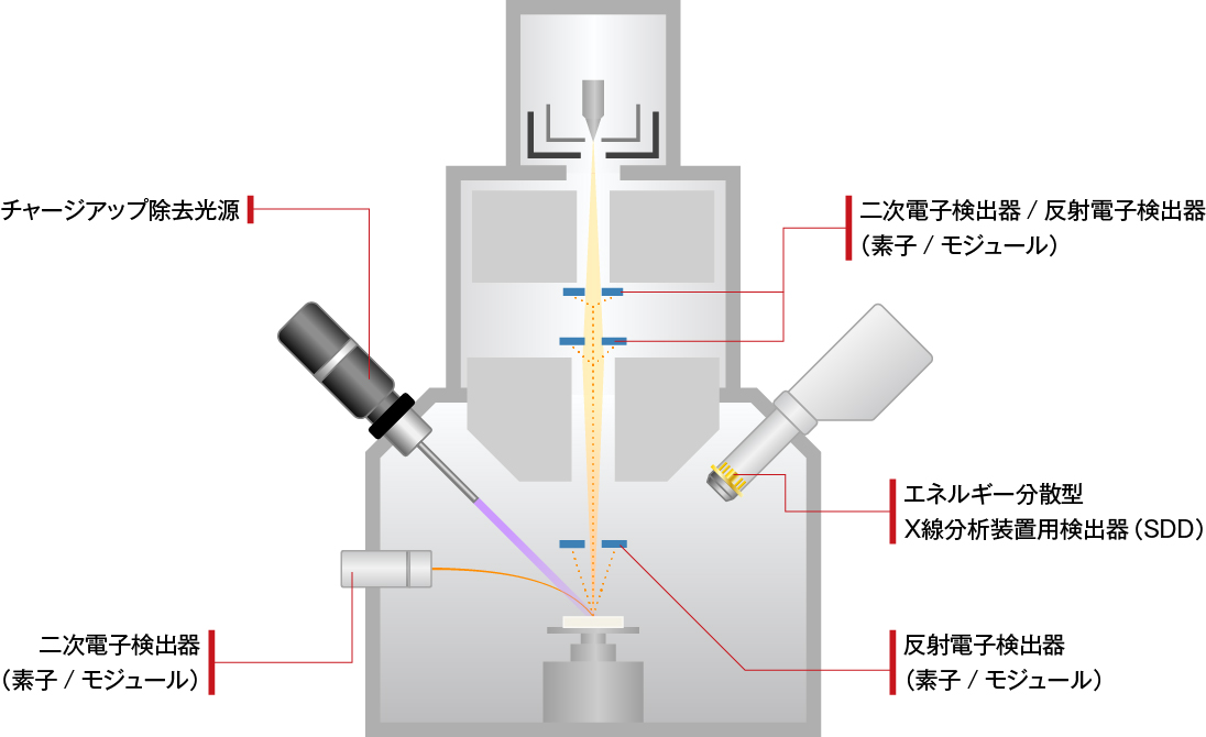 走査電子顕微鏡（SEM）