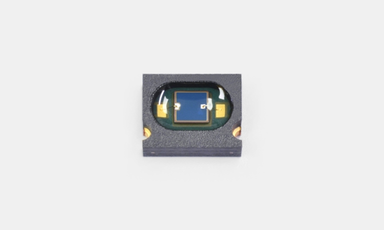 s9981-01ct