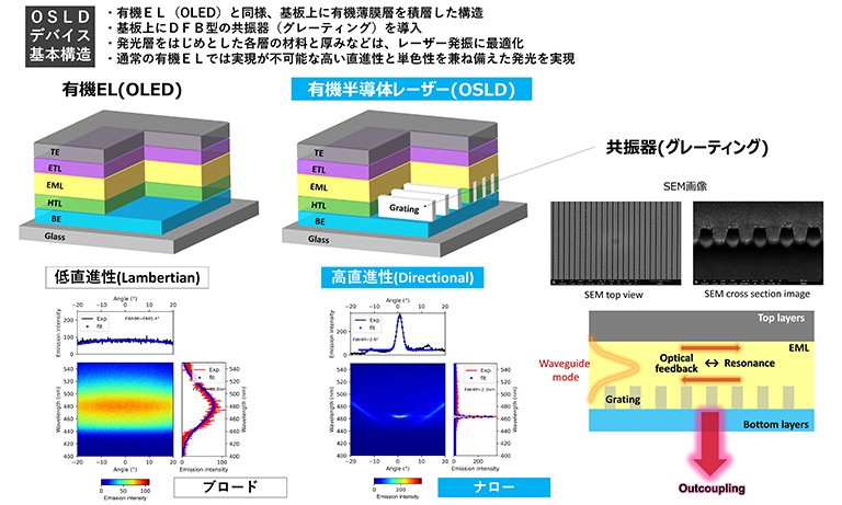 OSLDデバイス基本構造