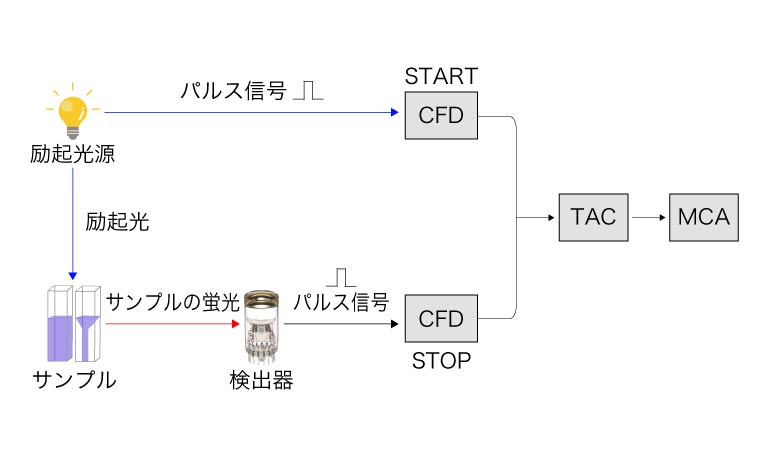 TCSPC法の原理図