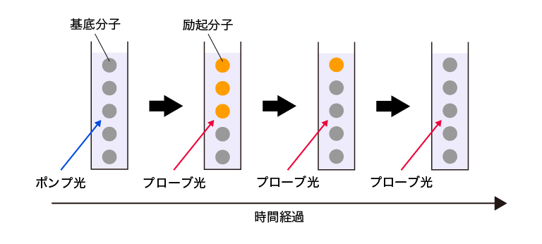 過渡吸収測定の原理