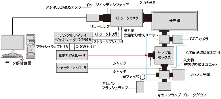 過渡吸収測定装置の構成例