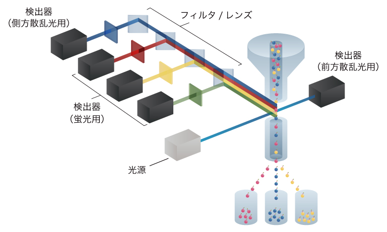 フローサイトメータの模式図