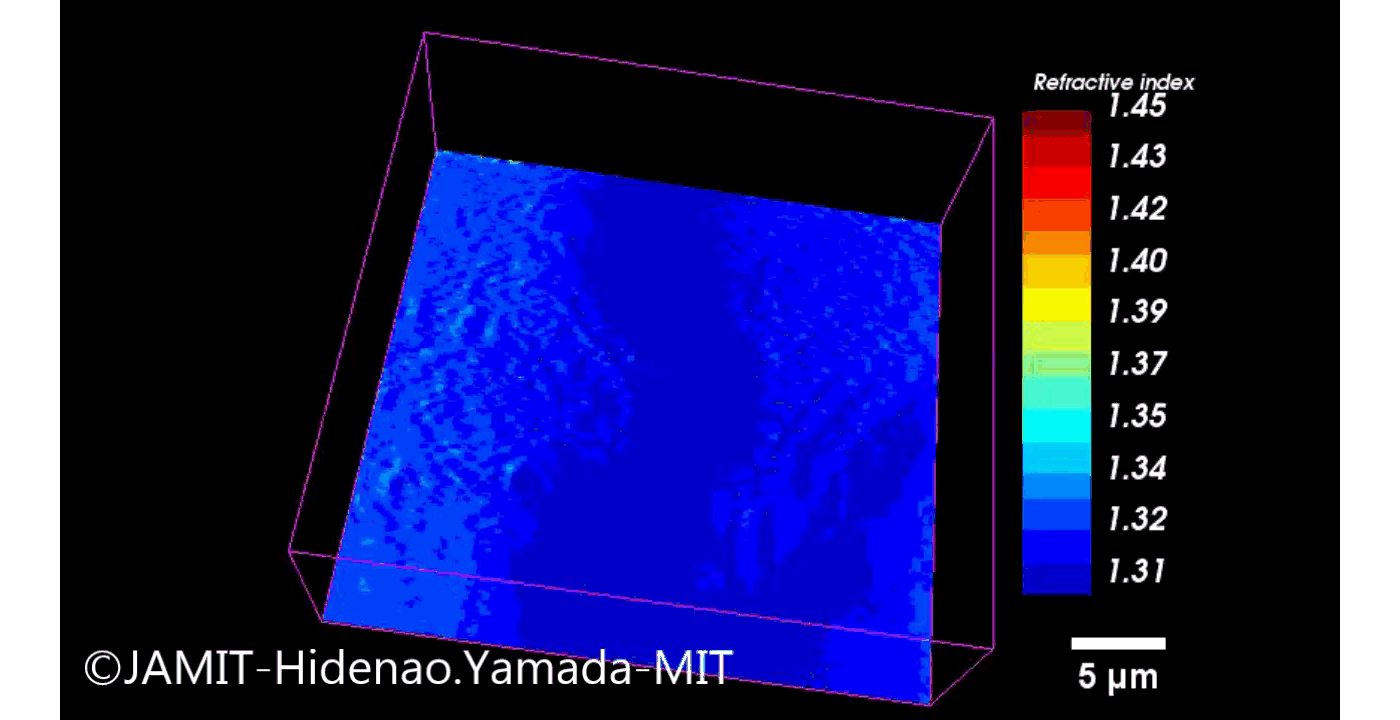 3次元像フローサイトメータ技術