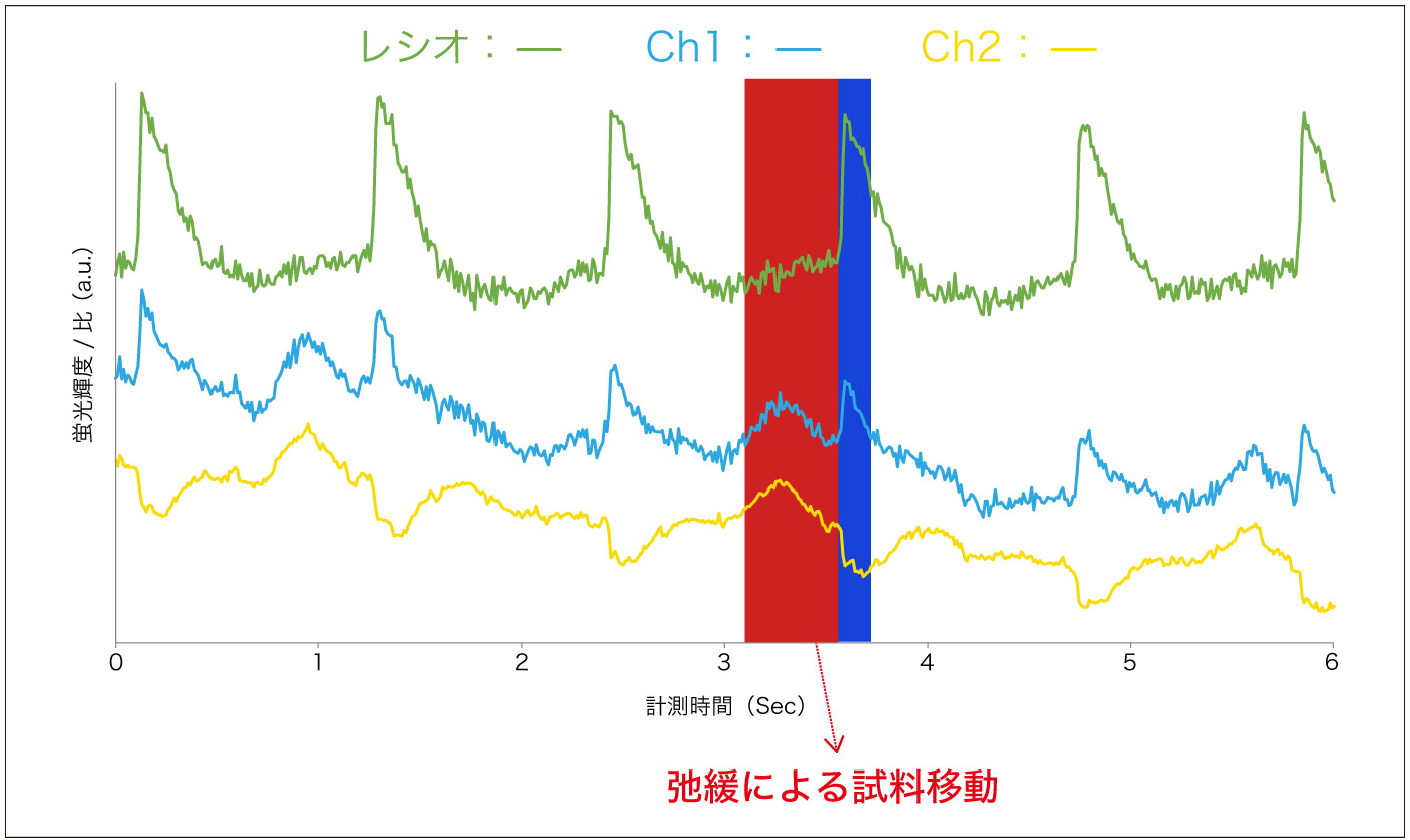 di-4-ANEPPS-弛緩による試料移動