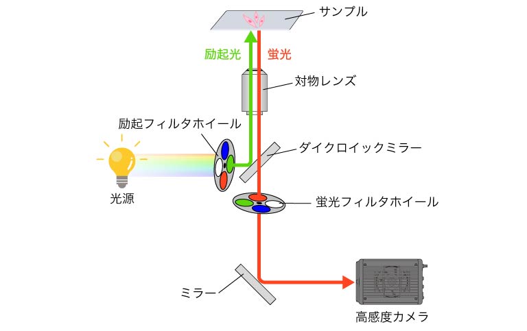 フィルタホイール方式