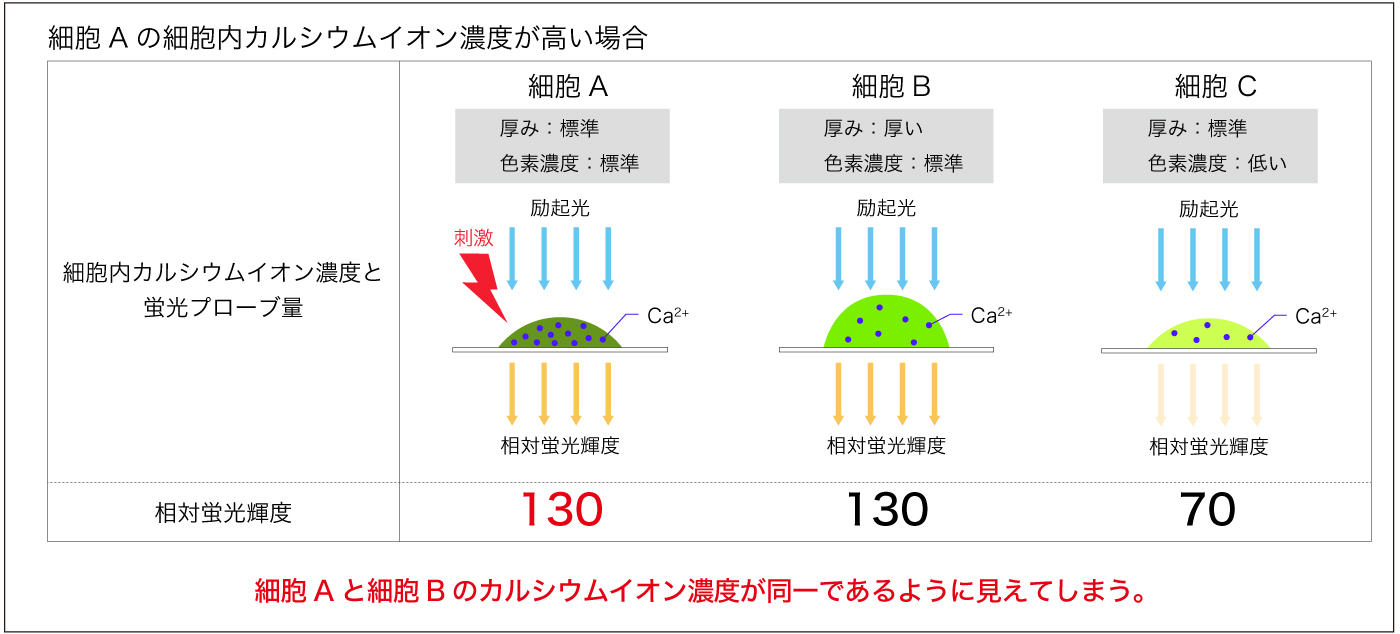1波長-細胞Aの細胞内カルシウム濃度が高い場合