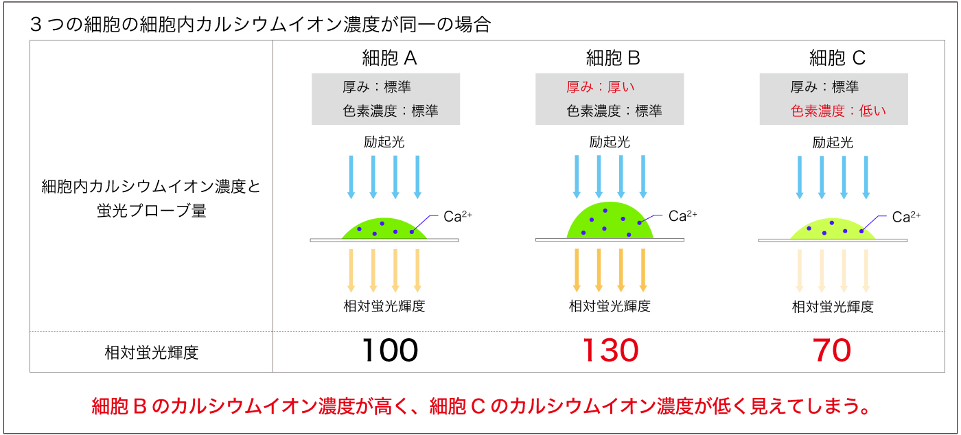 1波長-細胞内カルシウム濃度が同一の場合