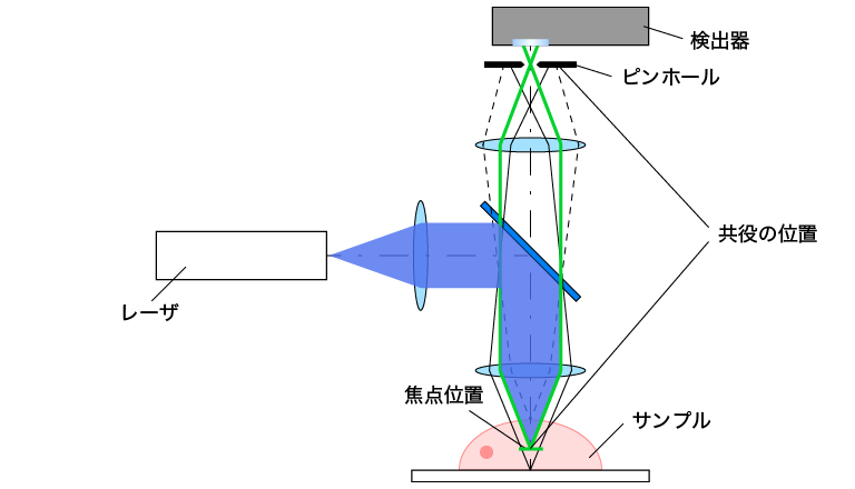 共焦点顕微鏡の模式図