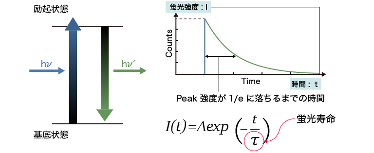 蛍光寿命の定義