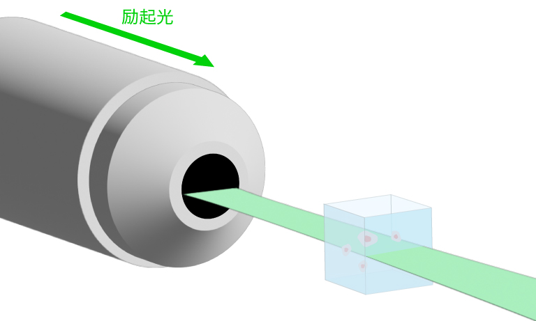 Selective Plane Illumination Microscopy