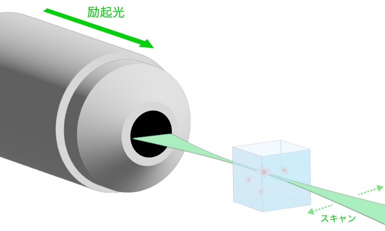 Digital Scanned Lightsheet Microscopy