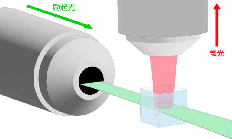 ライトシート顕微鏡の模式図