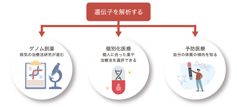 遺伝子解析とは