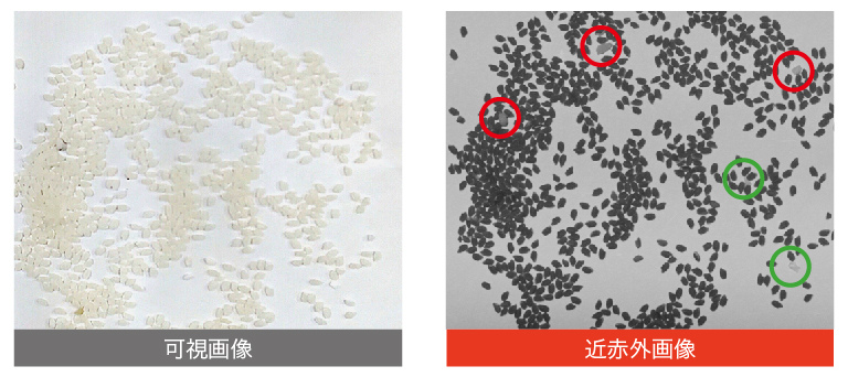 米の異物検査