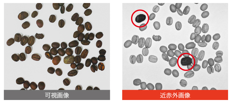 コーヒー豆の異物検査