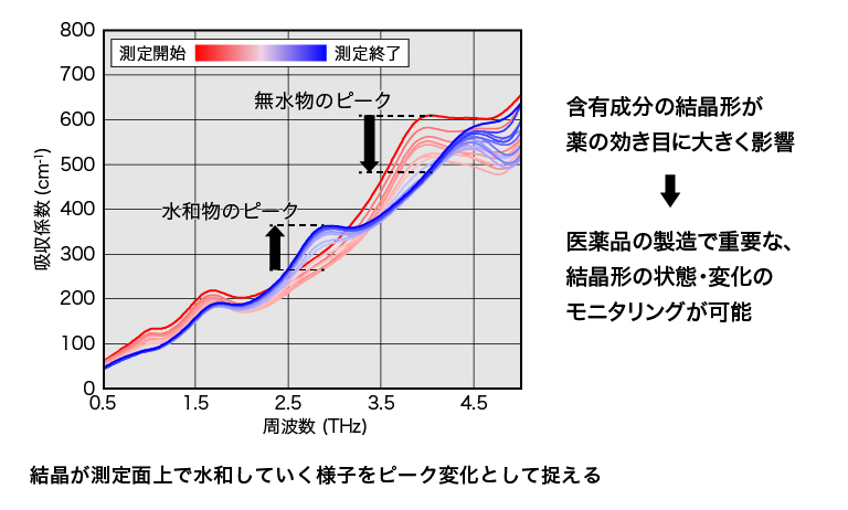 テオフィリン無水物の水和転移リアルタイムモニタリング
