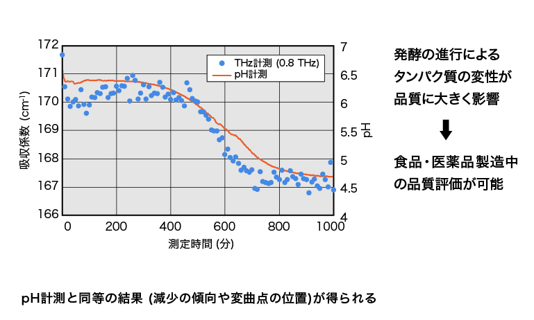 タンパク質の凝集による乳酸発酵モニタリング