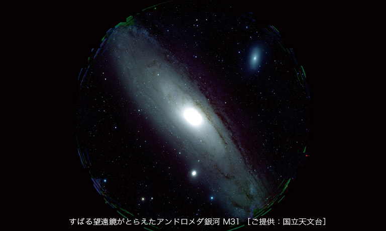 The Andromeda Galaxy (M31)