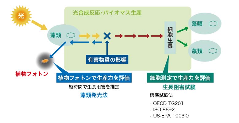 フォトンによる光合成評価技術