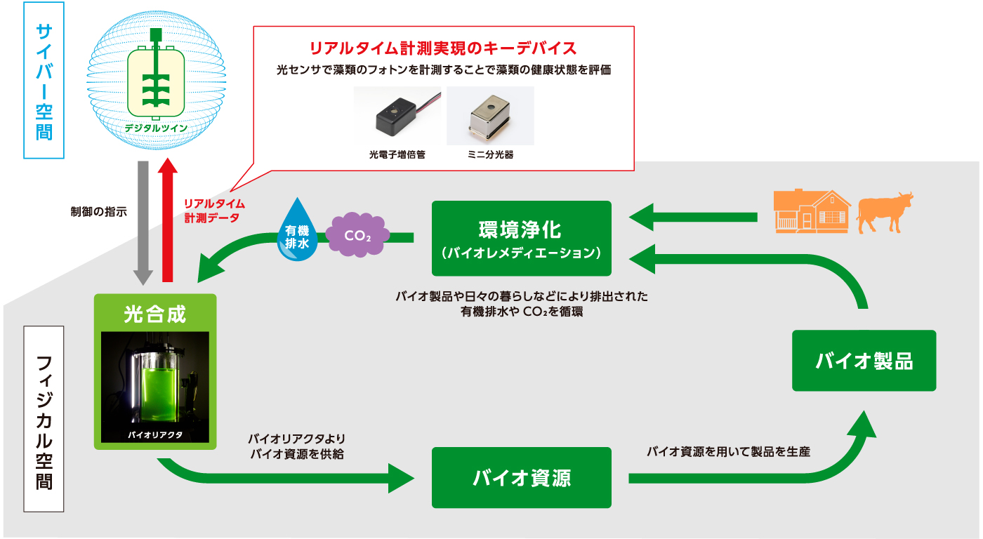 植物フォトン応用例①