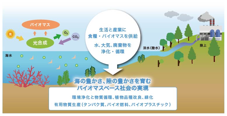 フォトンによる光合成評価技術