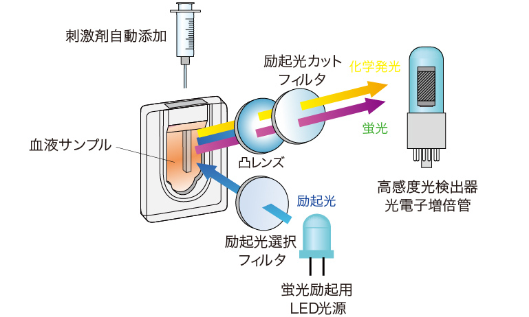 健康（未病）チェックマーカの開発