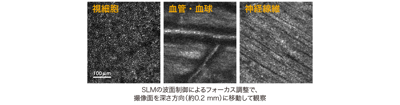 深さ方向の撮像結果