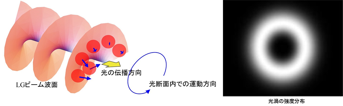 高次モード光の生成と光マニピュレーション