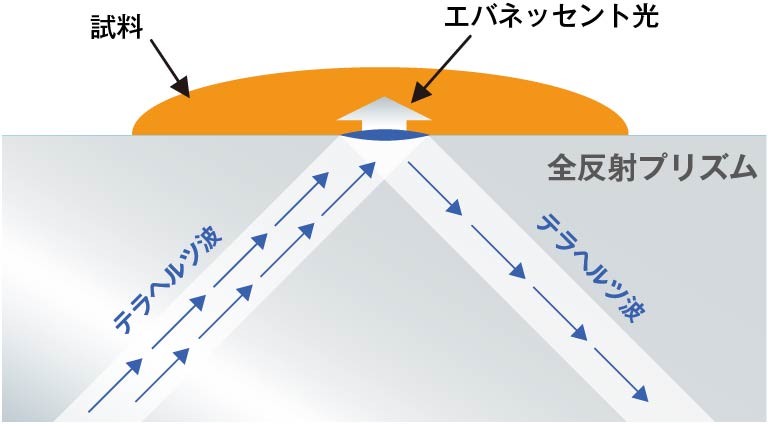 測定原理図