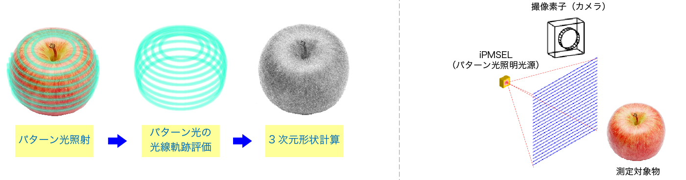 図5. （左）3次元計測の原理、（右）測定系模式図