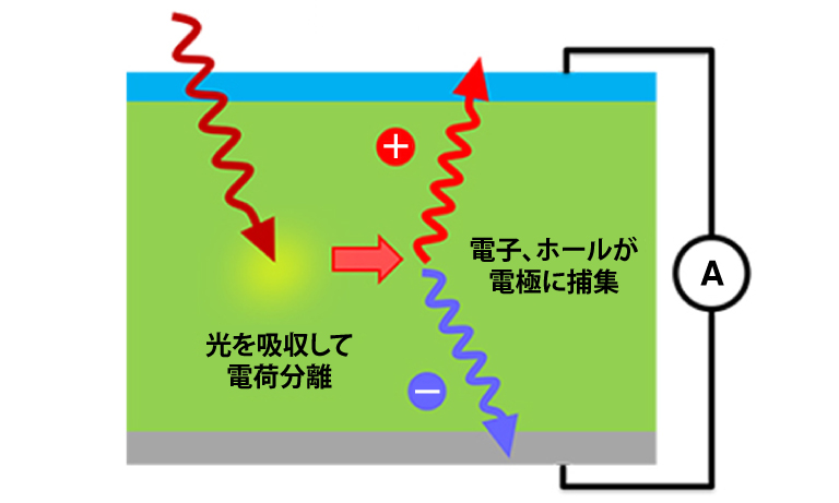 図2. OPDの動作原理