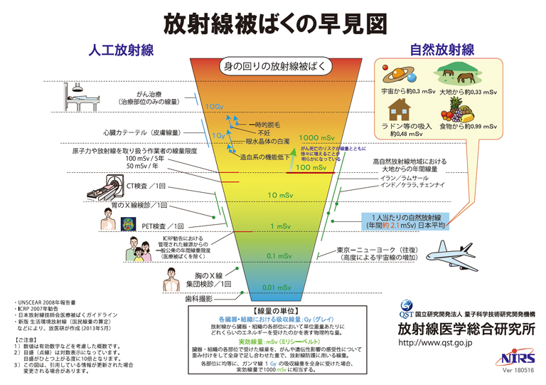 放射線被ばくの早見図