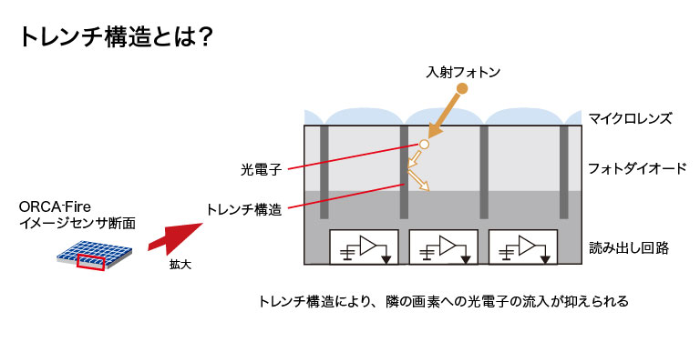 トレンチ構造とは
