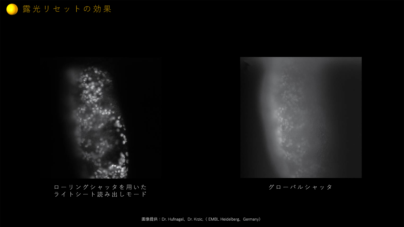 露光リセットの効果