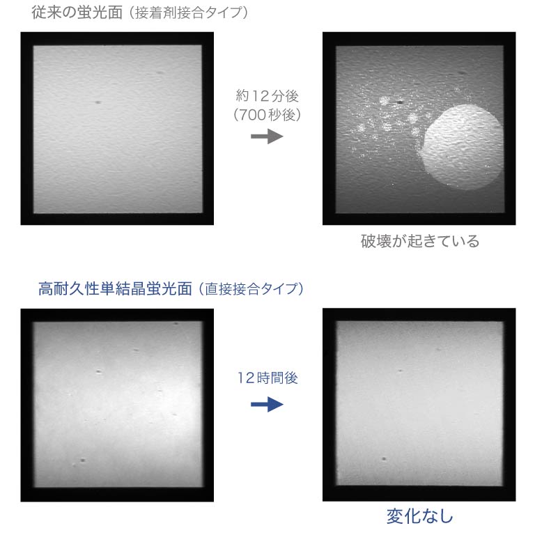 放射光白色X線