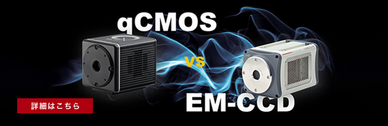 qCMOSカメラ vs EM-CCDカメラ – 光子検出カメラの性能比較