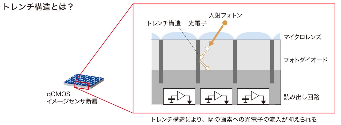 ORCA-Quest 2 トレンチ構造