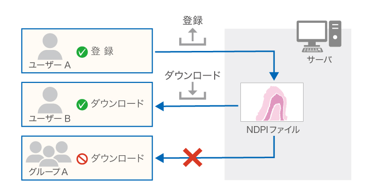 ファイル公開のイメージ図