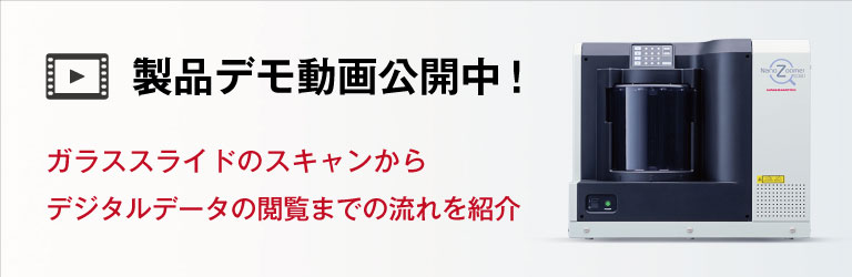製品デモ動画公開中