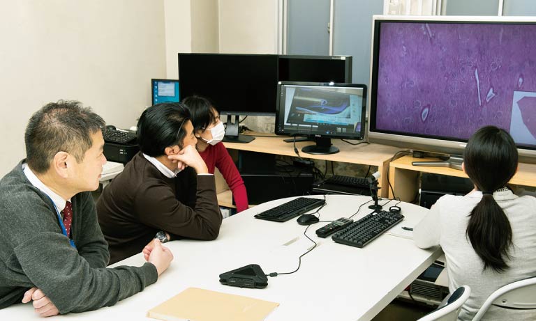 千葉大学大学院法医学教室