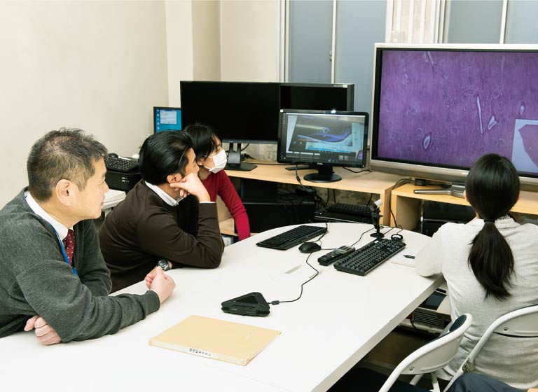 千葉大学内でのディスカッションの様子