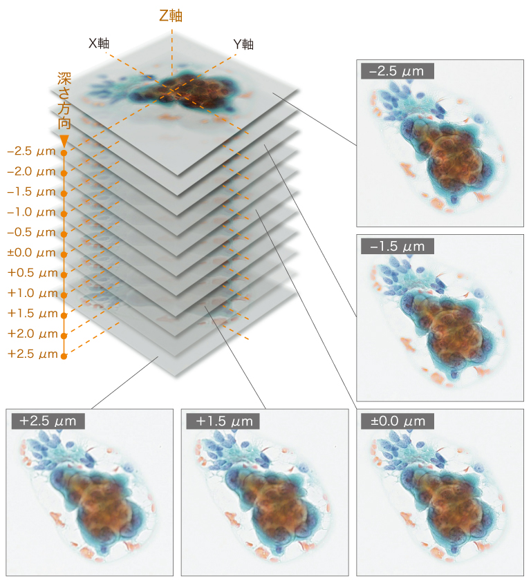 バーチャルスライドスキャナ スキャン機能