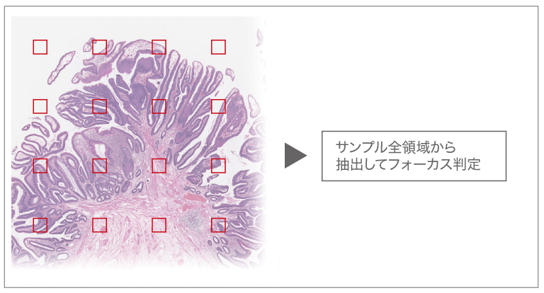 バーチャルスライドスキャナ スキャン機能