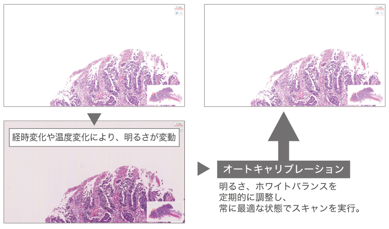 バーチャルスライドスキャナ スキャン機能