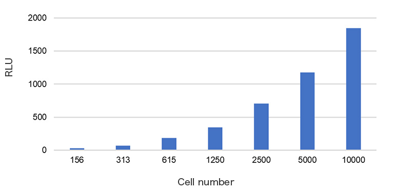 CytoTox-Glo cytotoxicity assay による細胞数評価