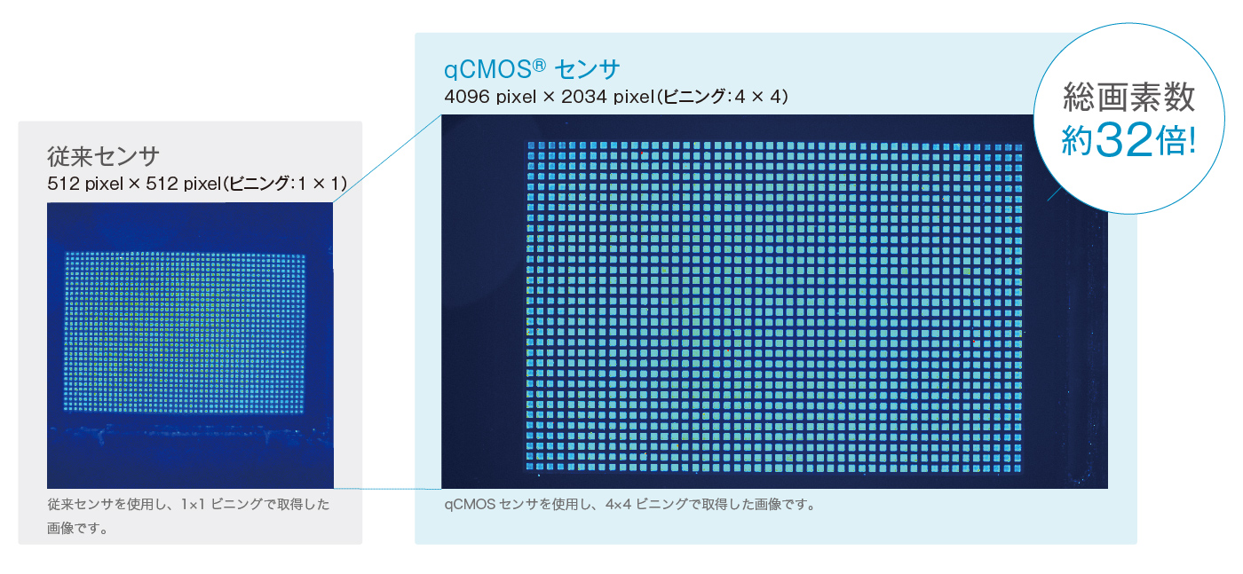 1536マイクロプレートの画像比較