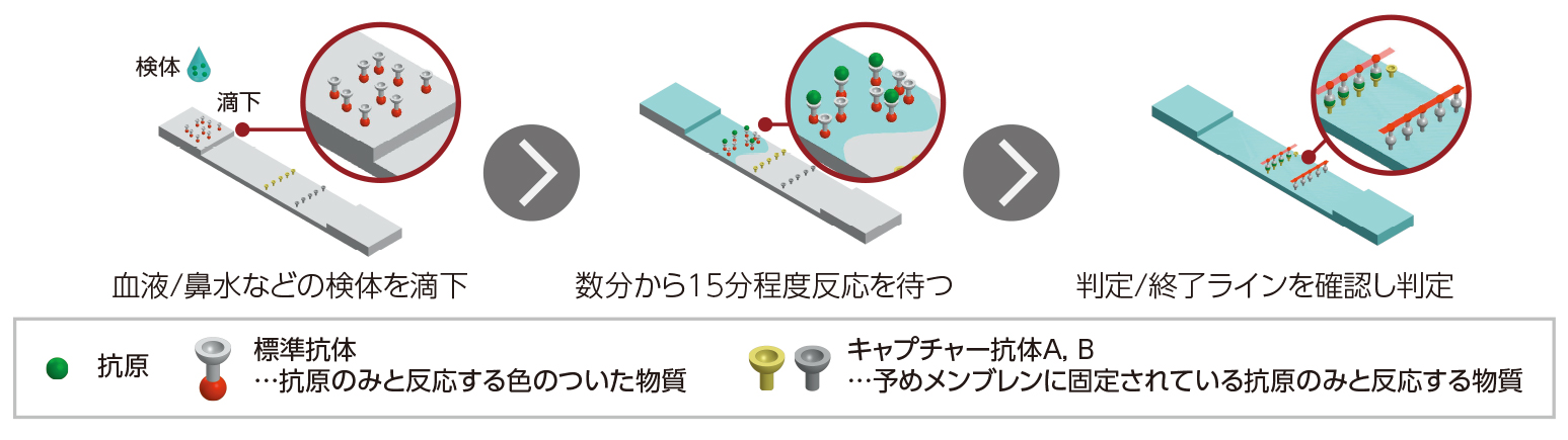イムノクロマト法とは