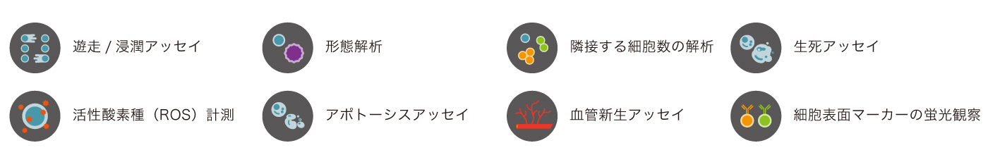 CYTOQUBE 対応アッセイの種類