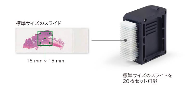 ハイスループット